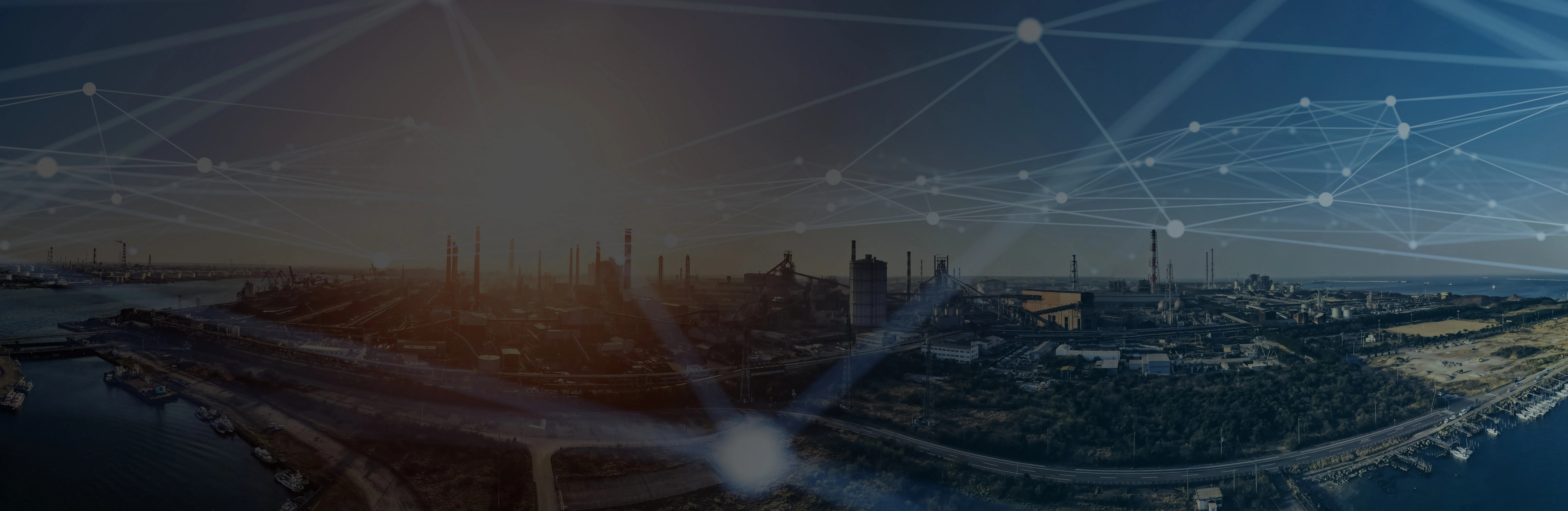 Dandelion Hero Hero Image